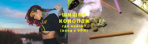 стафф Каменногорск