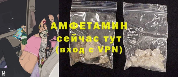 стафф Каменногорск