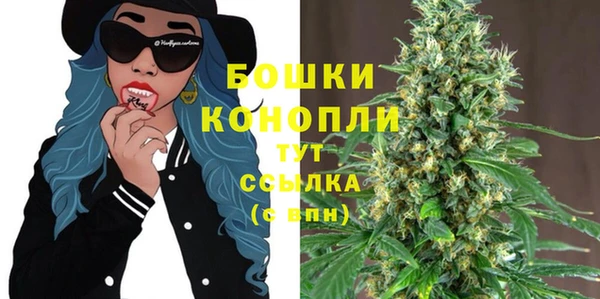 стафф Каменногорск