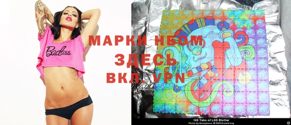 стафф Каменногорск