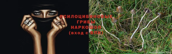 марихуана Каменск-Шахтинский