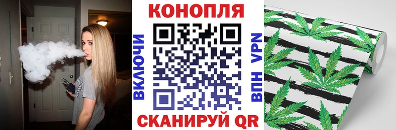 Купить где  Армянск  Каннабис ГИДРОПОН 
